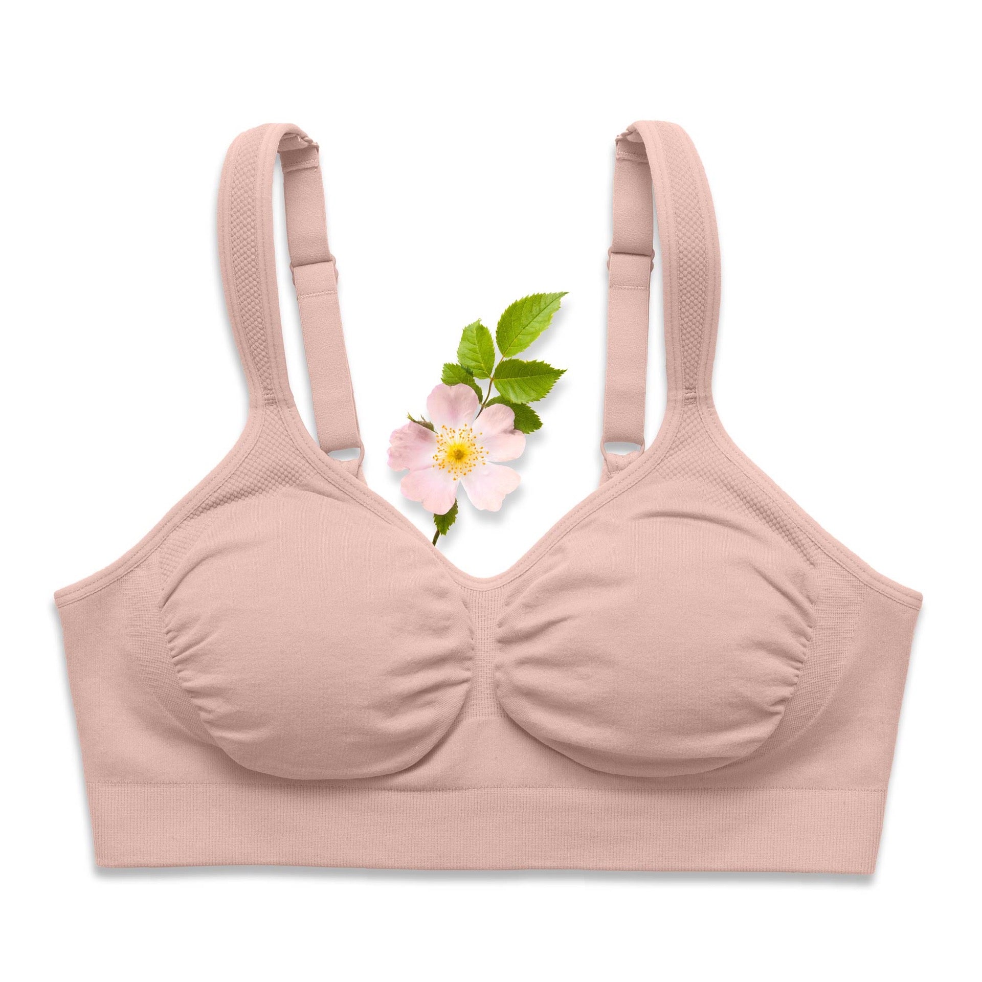 Wild-Rose